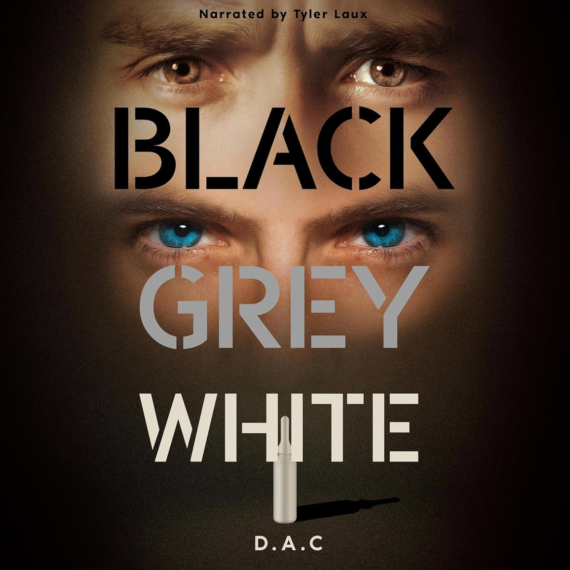 Black Grey White by D.A.C.